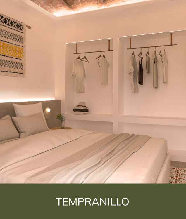 las habitaciones de el tejo 02
